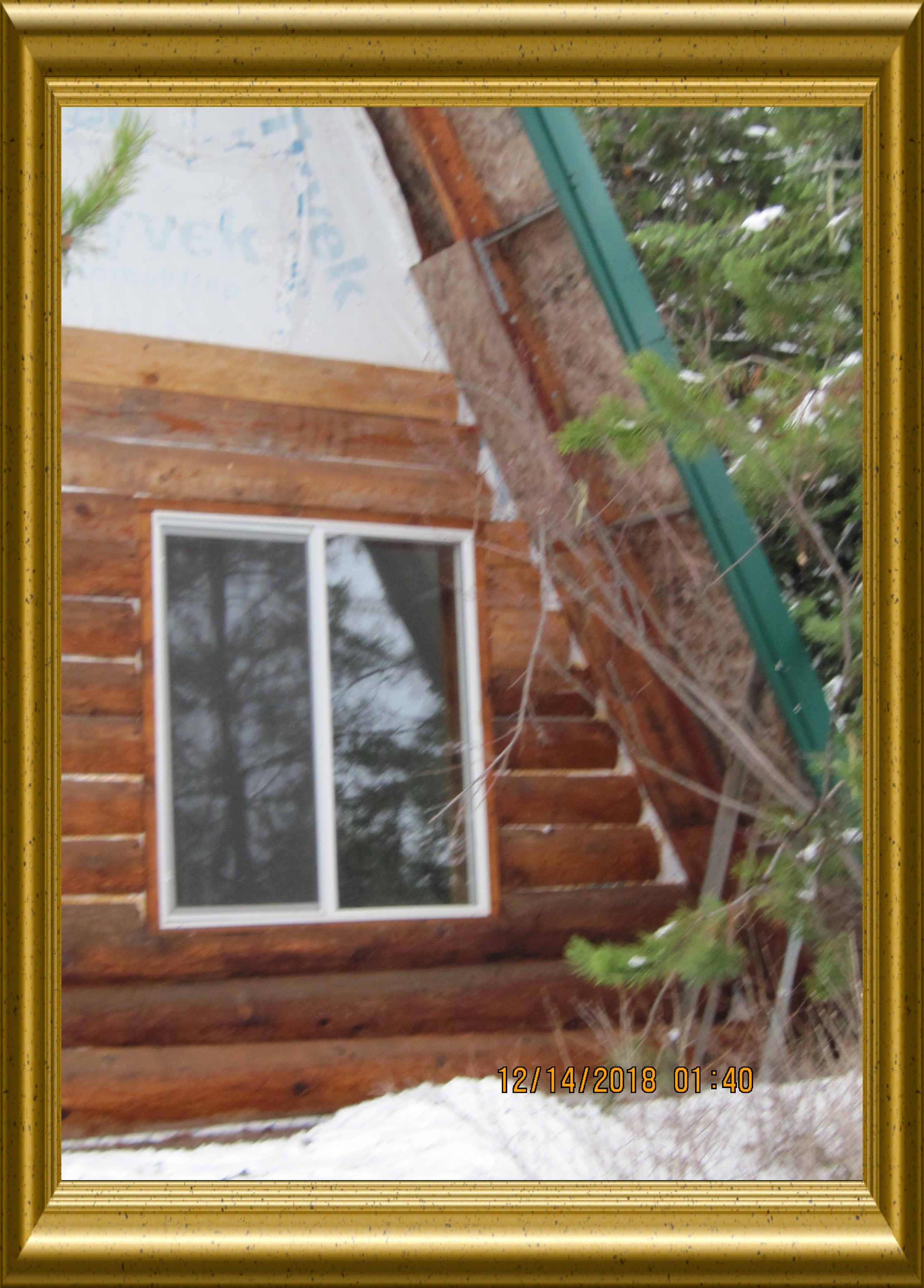 Cabin Esther partial front